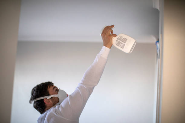 Best Mold Testing and Inspection Services in Kings Grant, NC