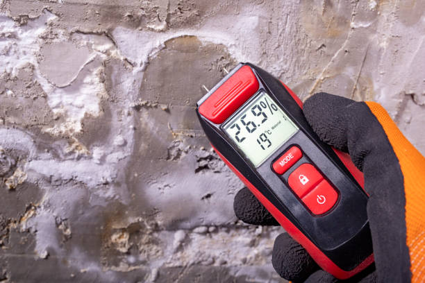 Best Post-Flood Mold Remediation in Kings Grant, NC