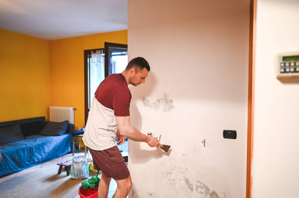 Reliable Kings Grant, NC Mold Remediation Solutions